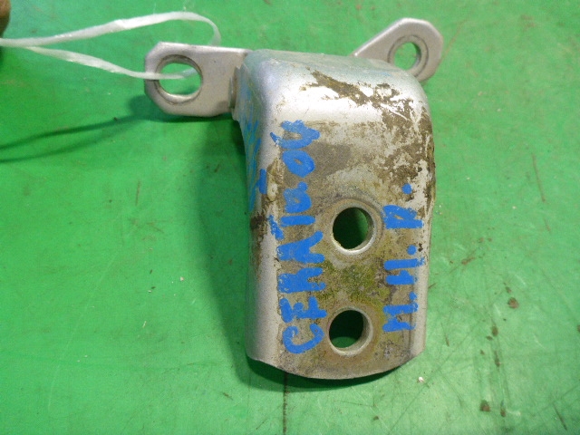 Петля двери передней правой нижняя