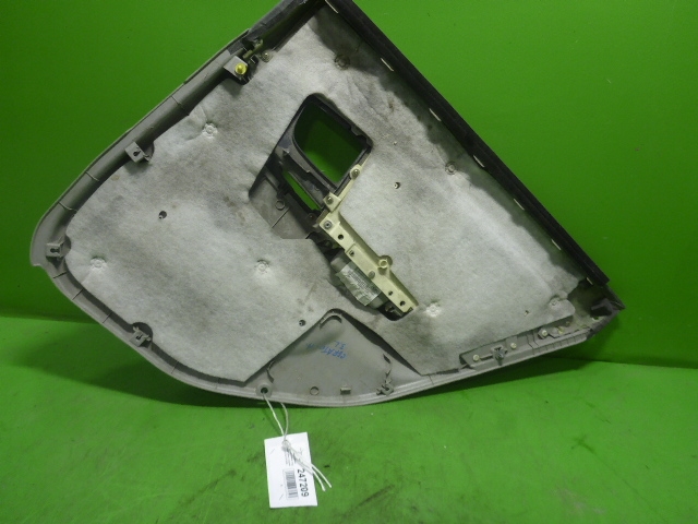 Обшивка двери задней левой