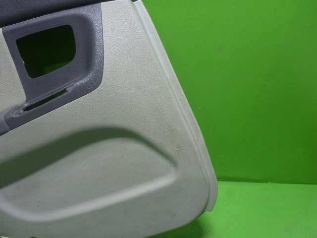 Обшивка двери задней левой