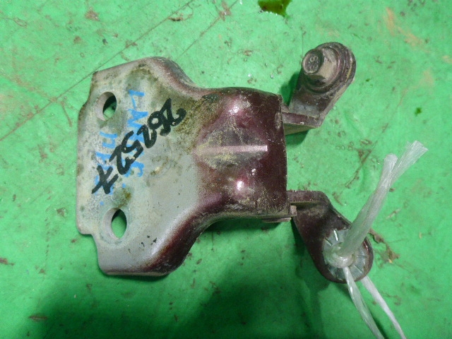 Петля двери передней правой нижняя