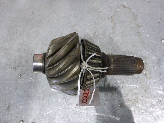 Пара главная