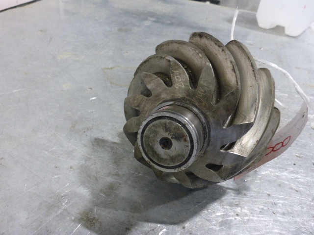 Пара главная