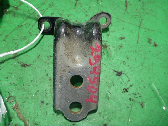 Петля двери задней правой нижняя