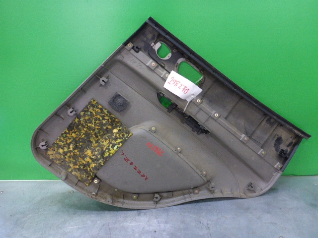 Обшивка двери задней левой