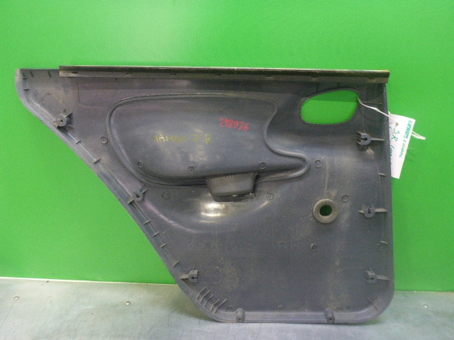 Обшивка двери задней правой