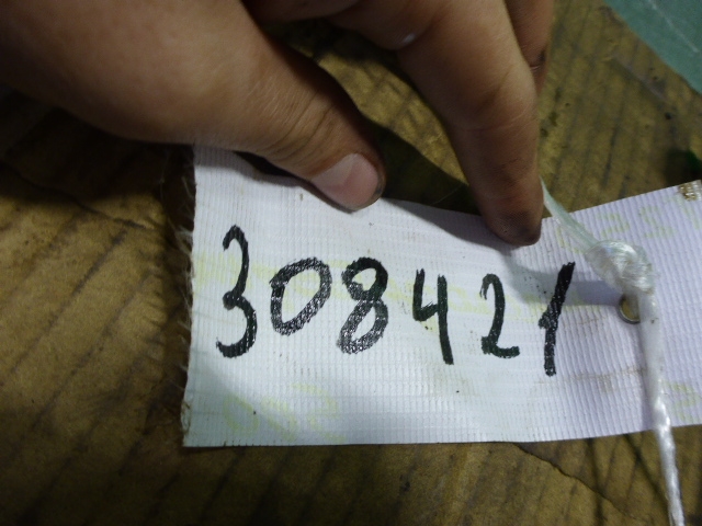 Маслозаборник