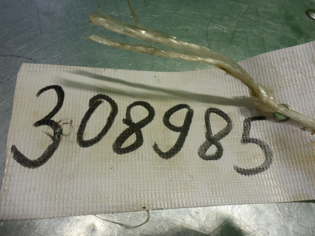 Крышка коленвала задняя