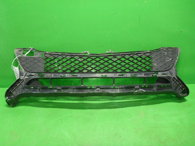 Решетка в бампер центральная