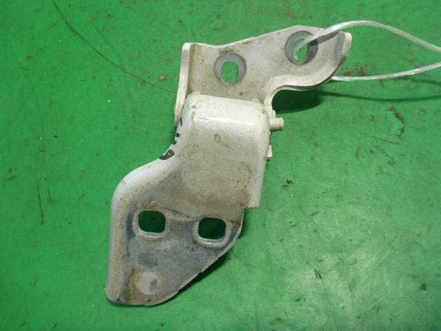 Петля двери передней левой нижняя