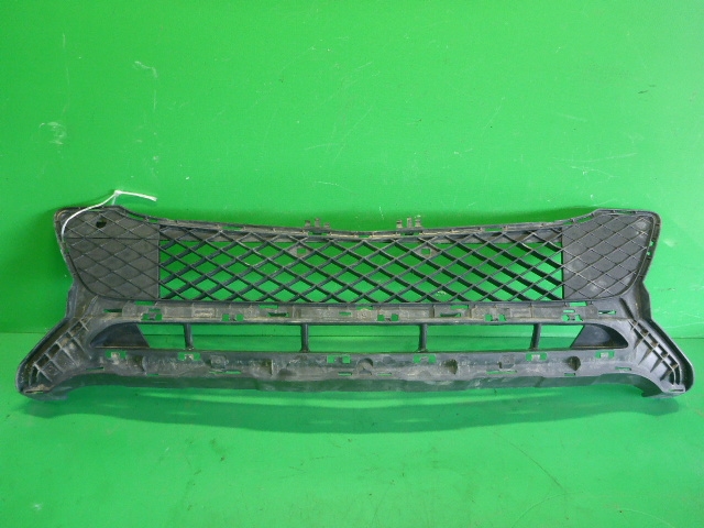 Решетка в бампер центральная