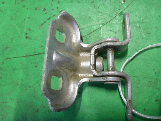 Петля двери задней левой нижняя