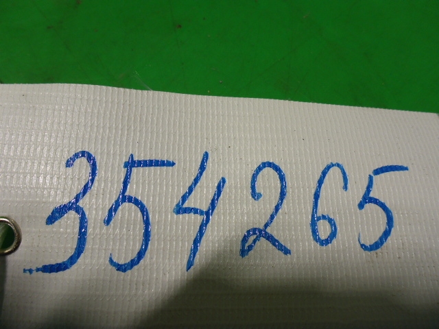 Петля двери задней левой нижняя