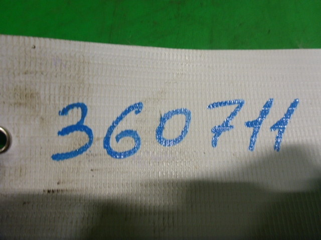 Петля двери передней правой нижняя