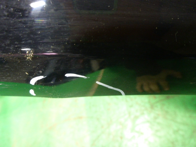 Крыло переднее правое