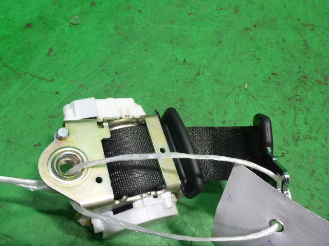 Ремень безопасности