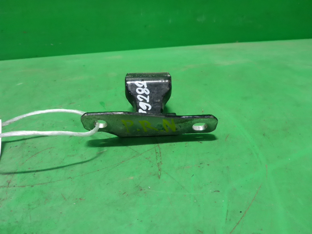 Петля двери передней правой нижняя