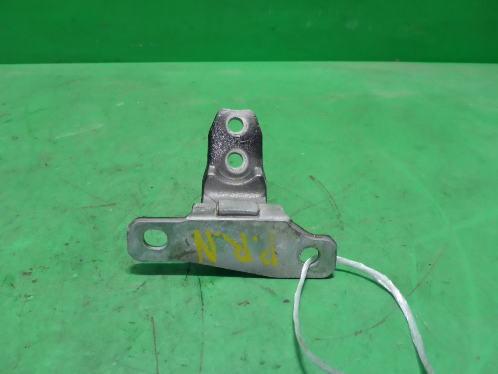 Петля двери передней правой нижняя