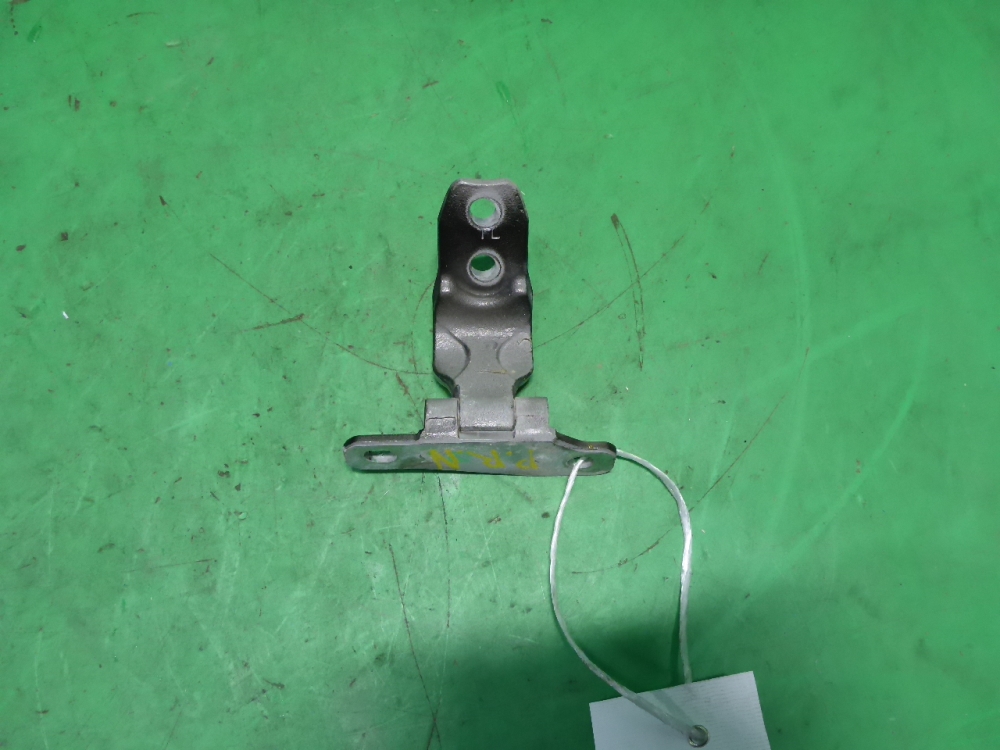 Петля двери передней правой нижняя