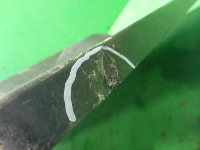 Крыло переднее задняя часть