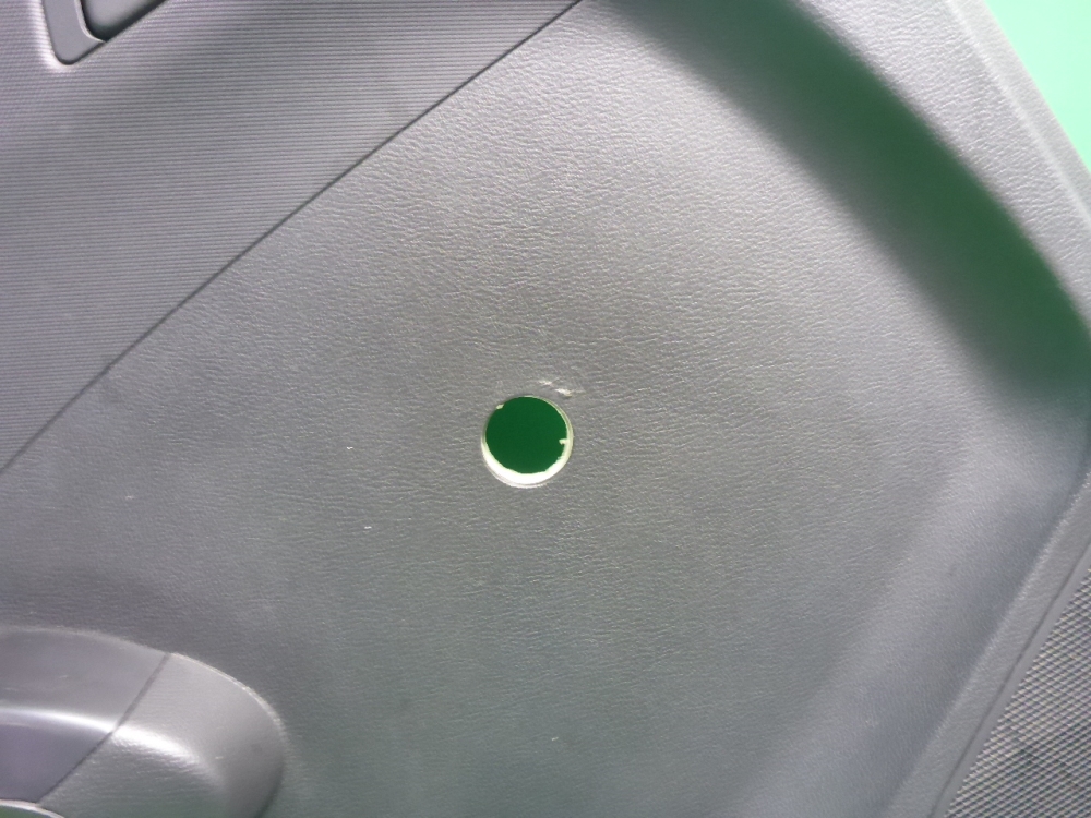 Обшивка двери задней левой