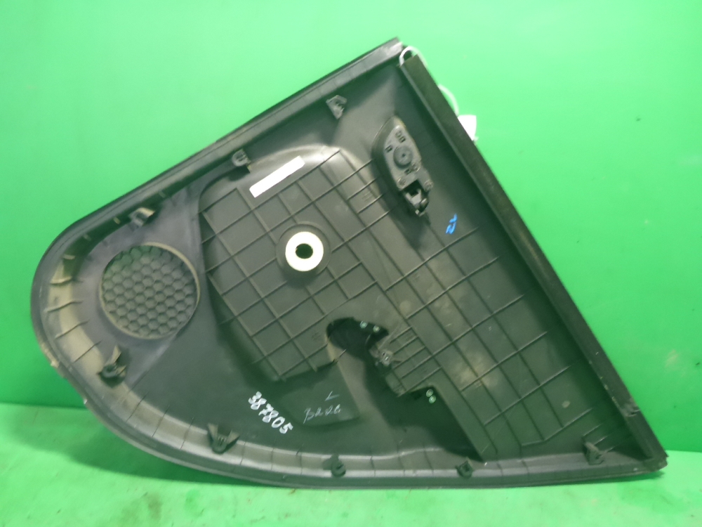 Обшивка двери задней левой