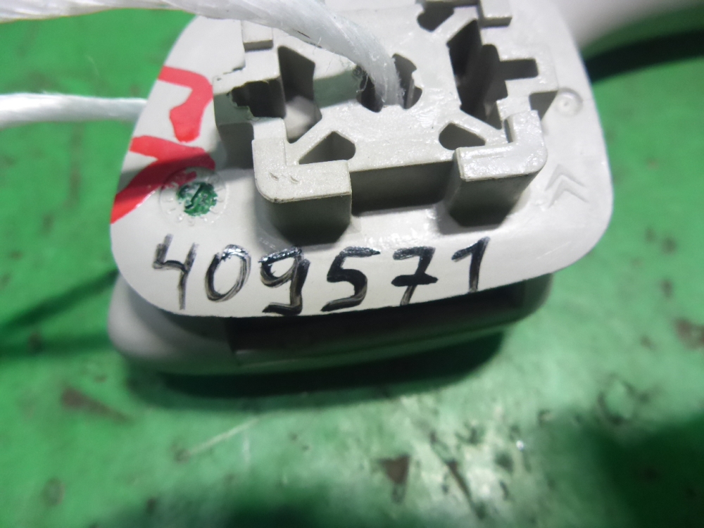 Ручка внутренняя потолочная