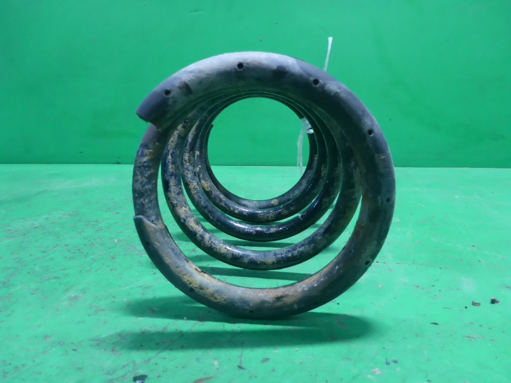 Пружина задняя