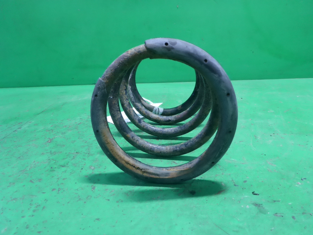 Пружина задняя