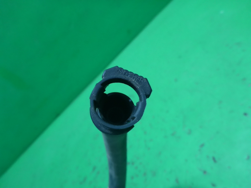 Шланг