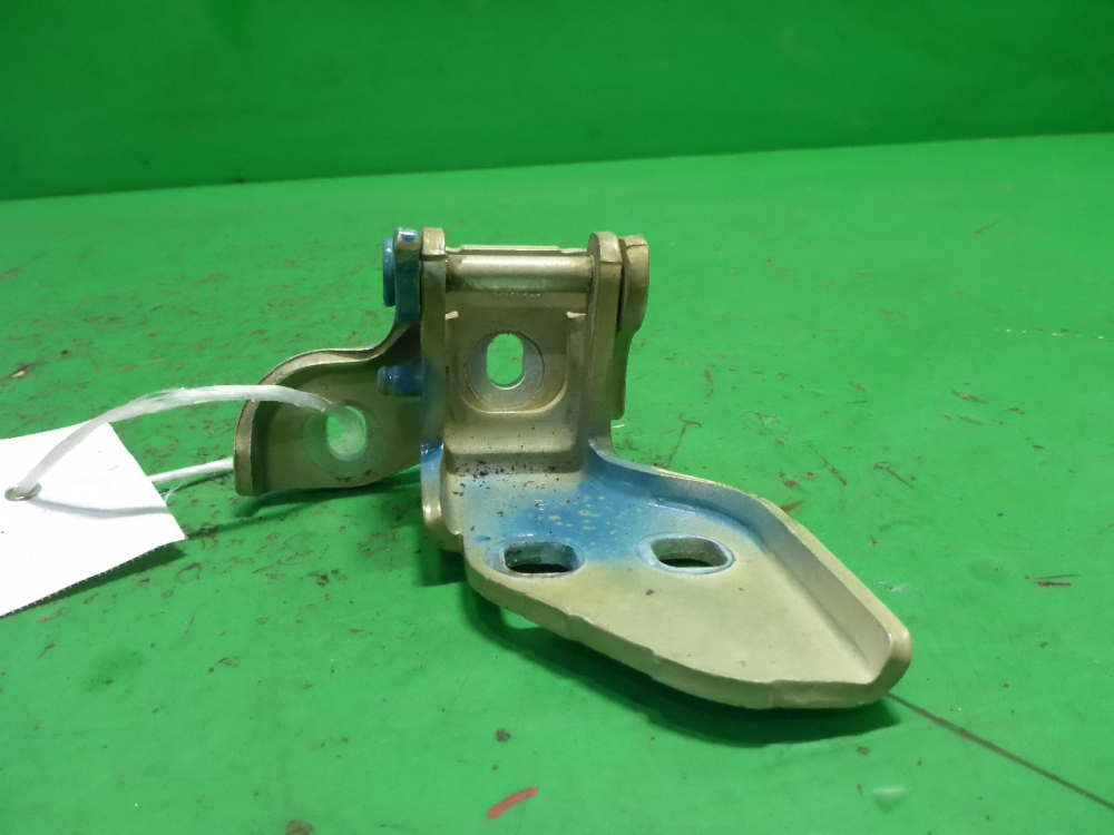 Петля двери передней левой нижняя