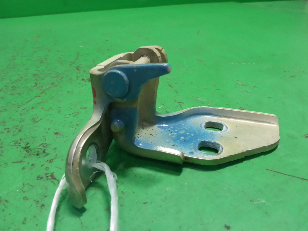 Петля двери передней левой нижняя