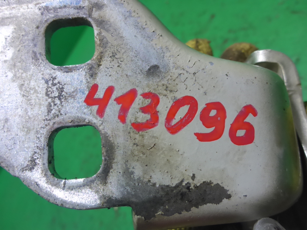 Петля двери передней левой нижняя