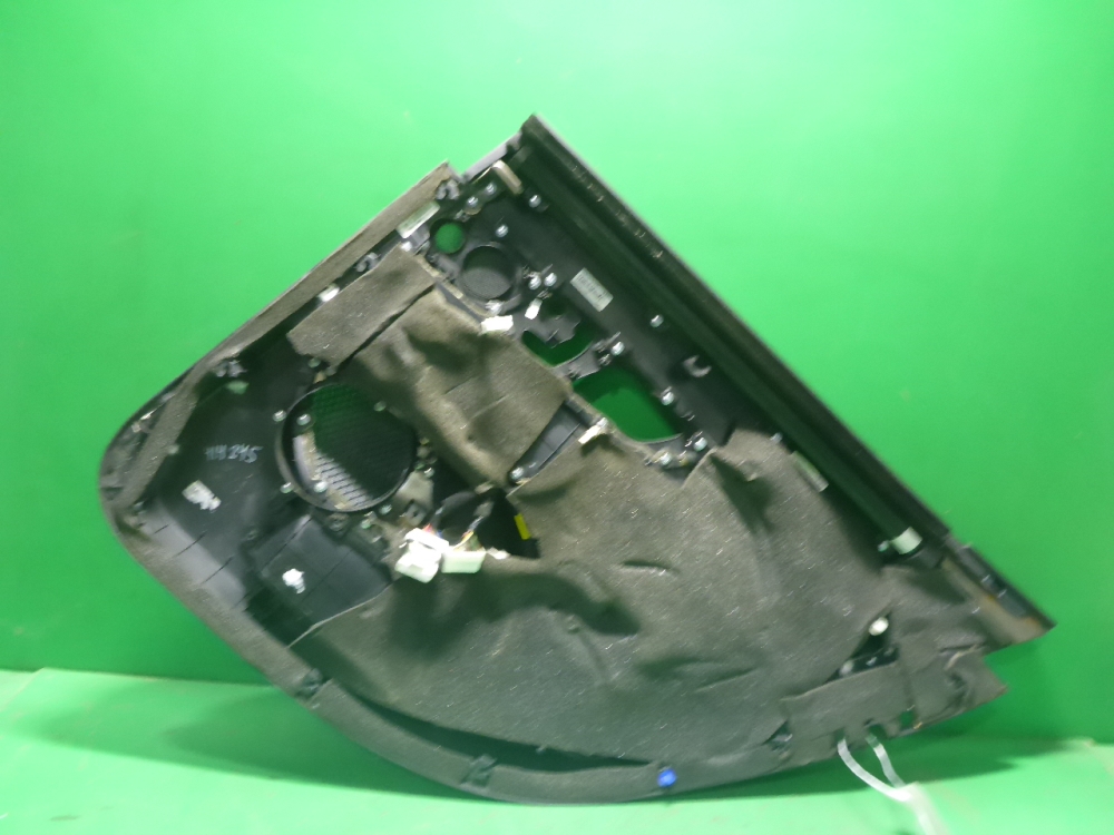 Обшивка двери задней левой