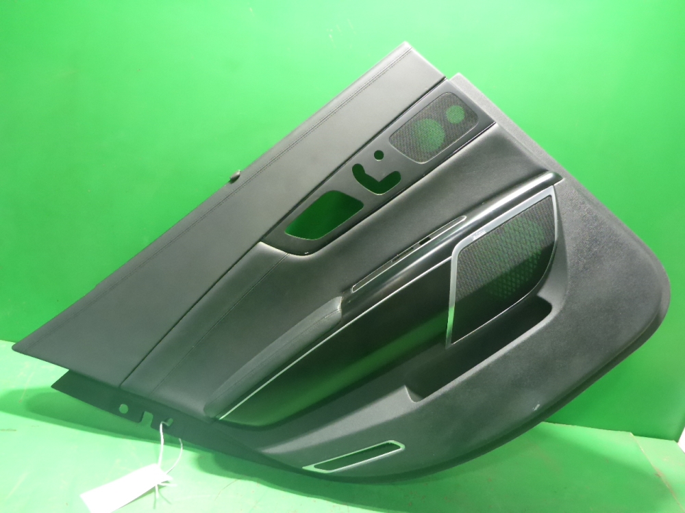 Обшивка двери задней левой