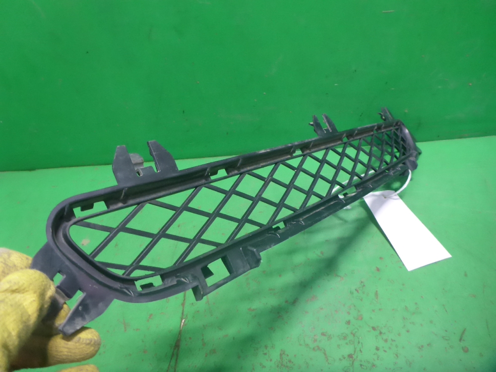 Решетка в бампер центральная