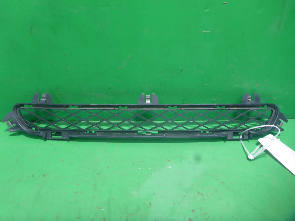 Решетка в бампер центральная