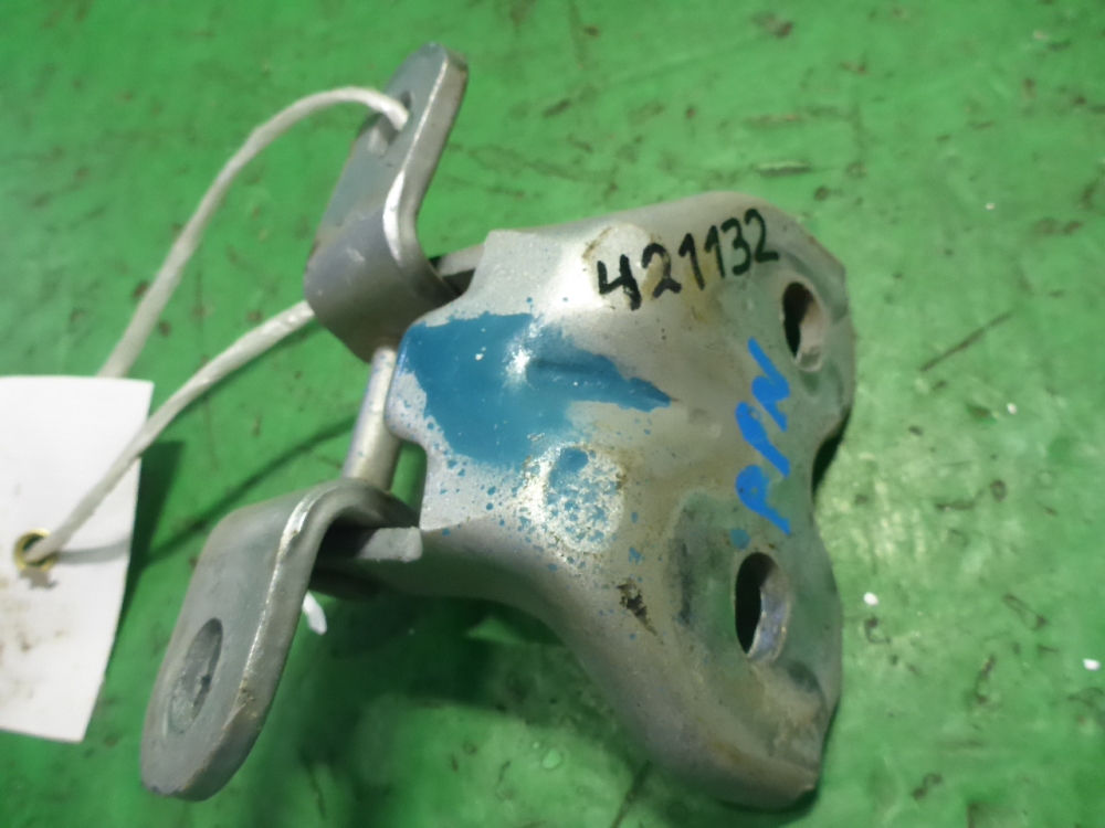 Петля двери передней правой нижняя