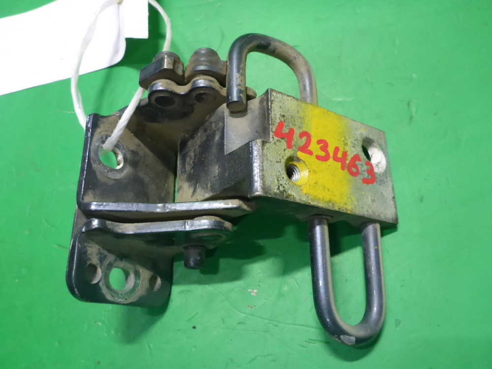 Петля двери передней правой нижняя