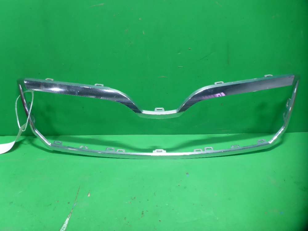 Накладка на решетку радиатора