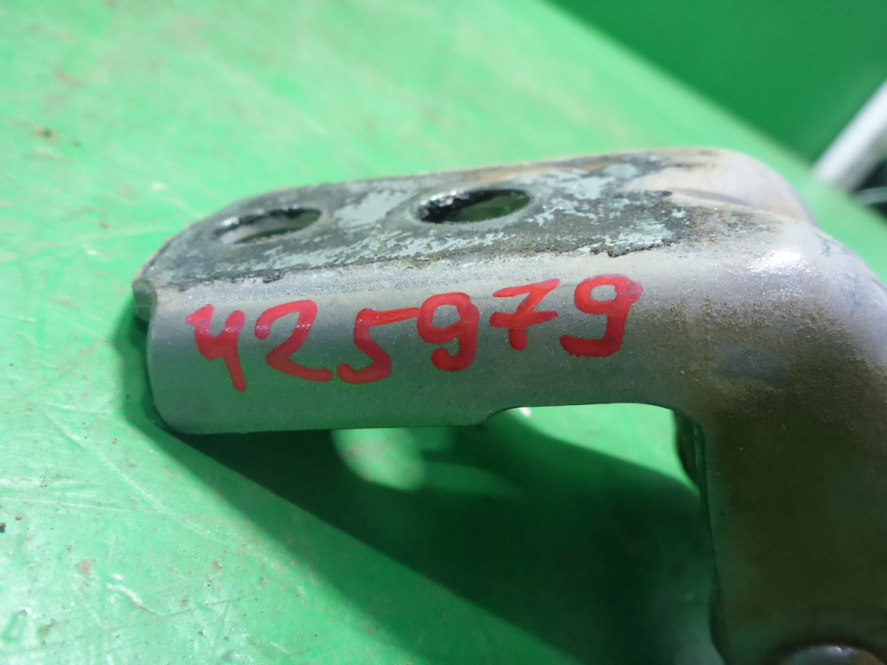 Петля двери задней правой нижняя