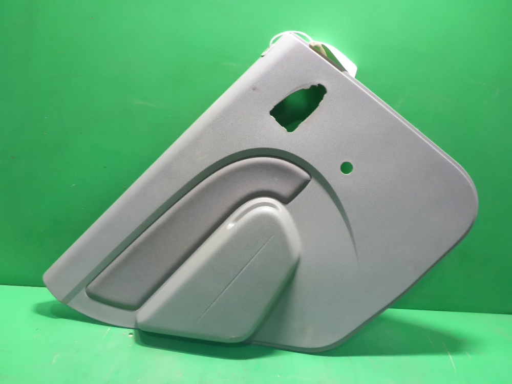 Обшивка двери задней левой