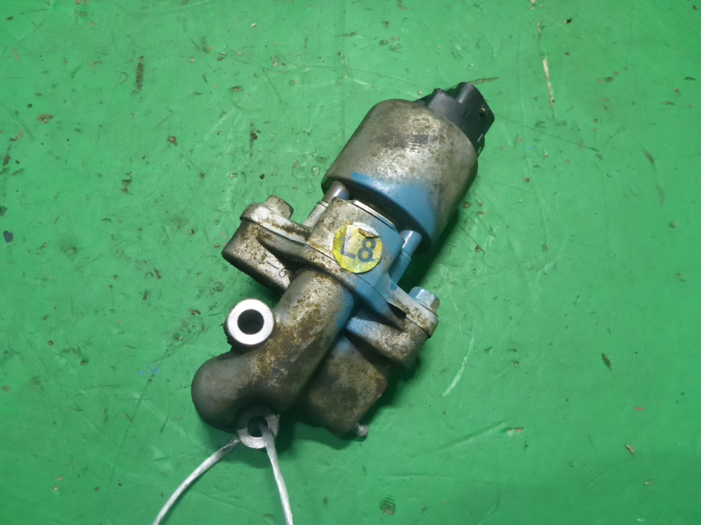 Клапан рециркуляции выхлопных газов (EGR)