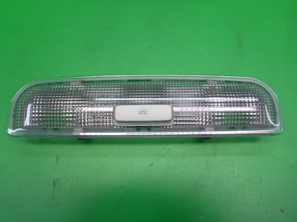 Плафон салонный