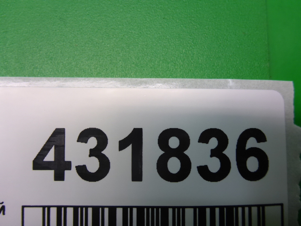 Петля двери задней правой верхняя