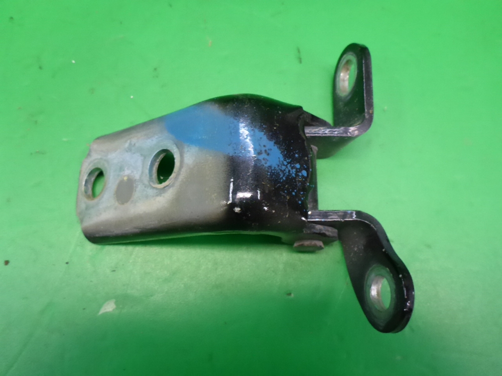 Петля двери задней правой нижняя