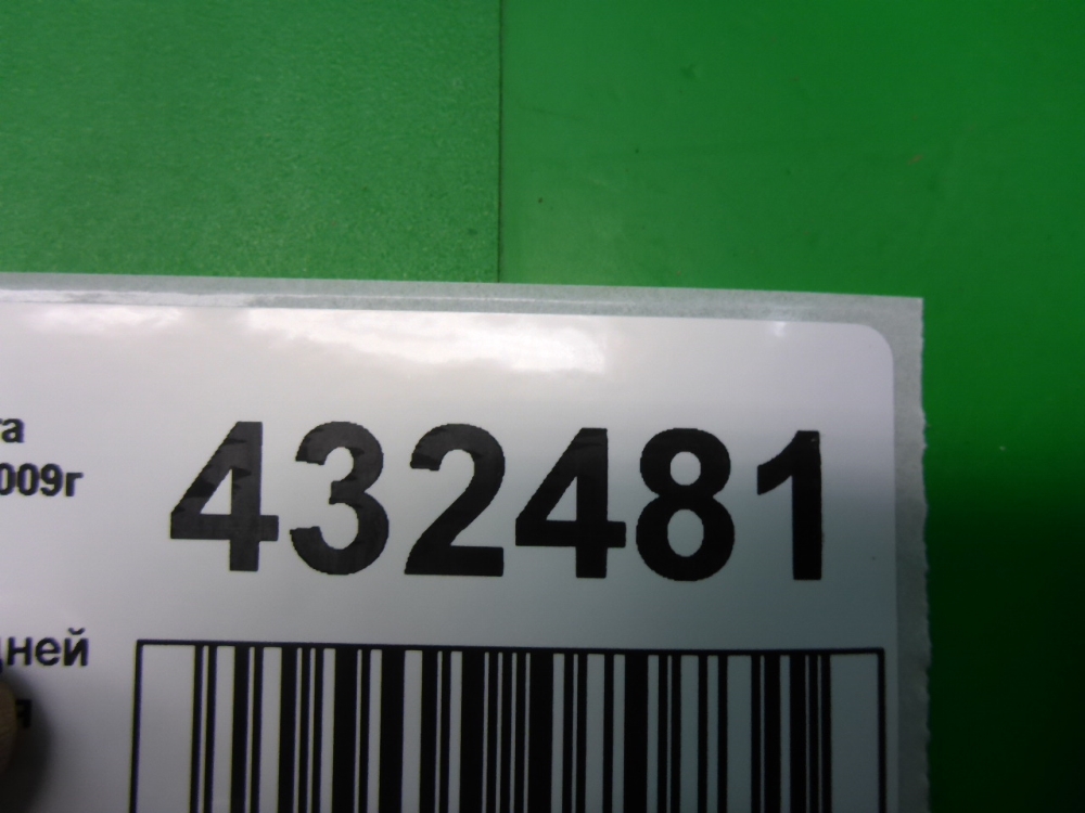 Петля двери задней правой нижняя