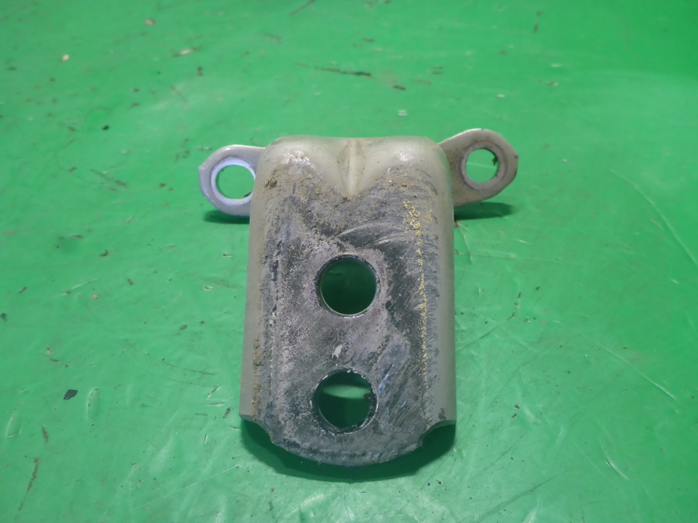 Петля двери передней правой нижняя