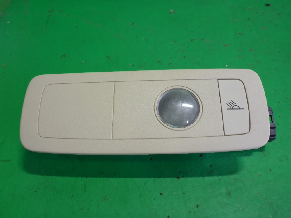 Плафон салонный