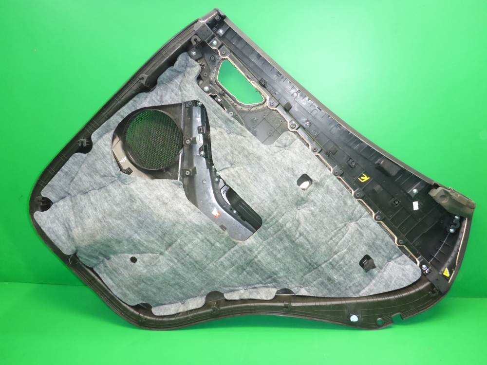 Обшивка двери задней левой