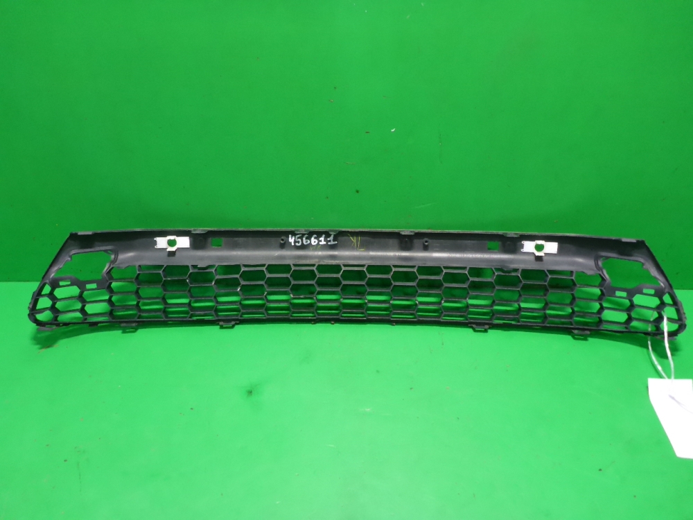 Решетка в бампер центральная